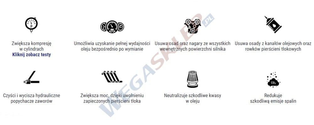 Zdjęcie miniatura produktu TEC-2000 Engine Flush